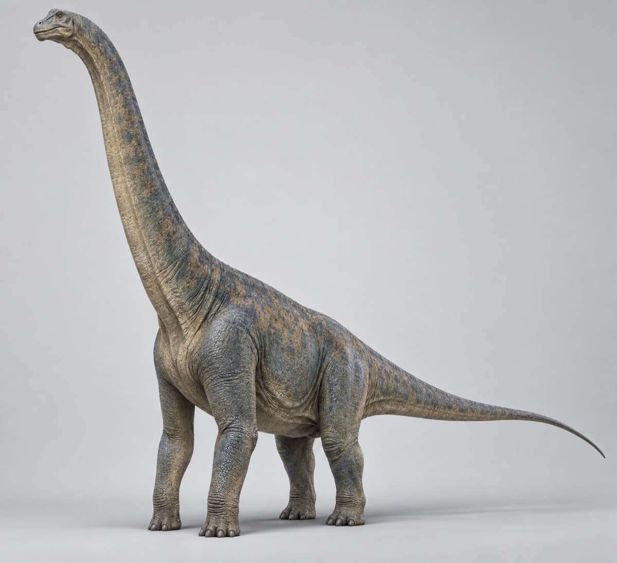 3D artwork of Brachiosaurus
